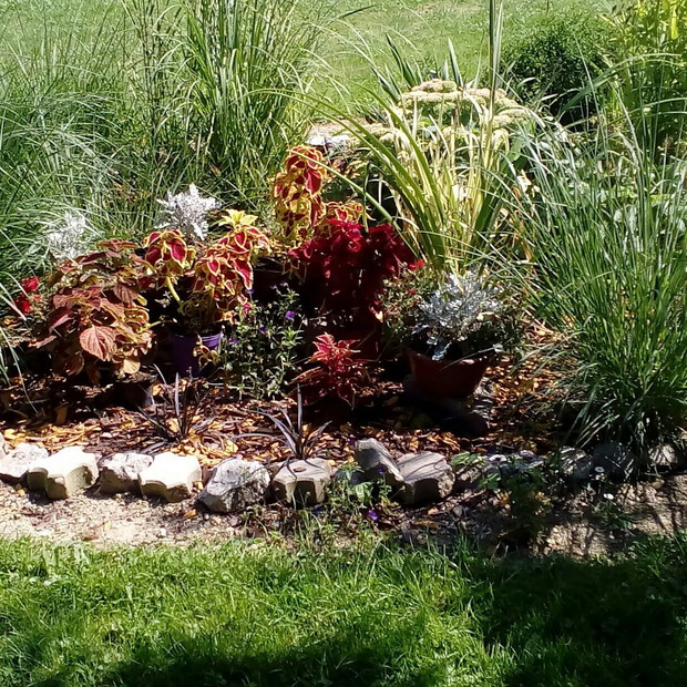 Bujne trawy i pokrzywka to piękne barwy jesieni