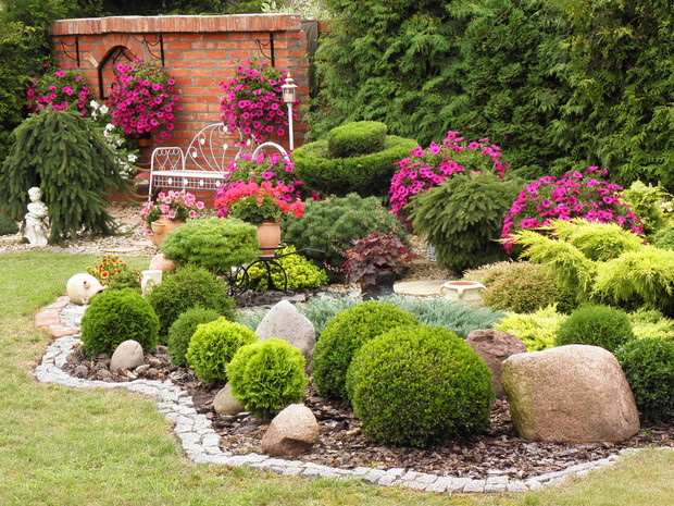 bukszpany i nie tylko