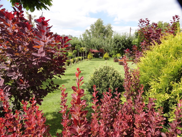 Czerwień z zielenią