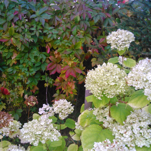  Czyżby już jesień..?