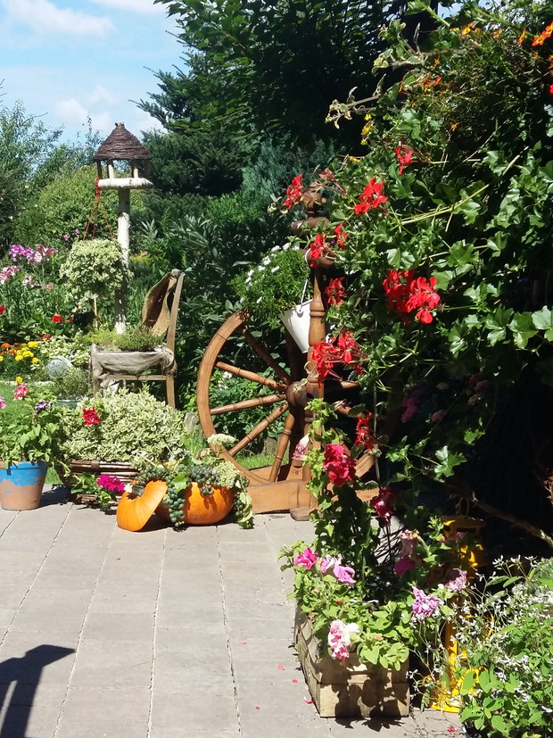 Dekoruję ogród w wolnych chwilach