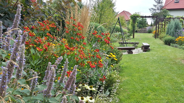 Dzielżan i kłosowiec stanowią zgrany duet.