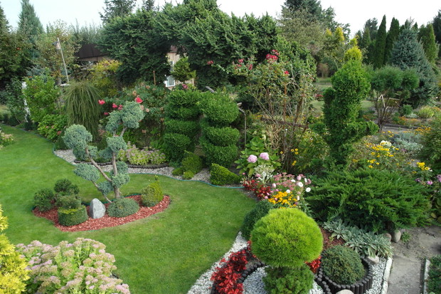 foczki pod świderkami