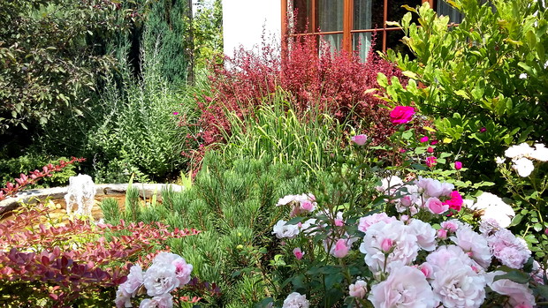 Fontanna przed oknem jadalni.