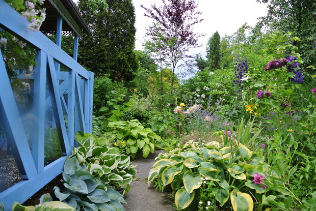 funkie takie mają liście 