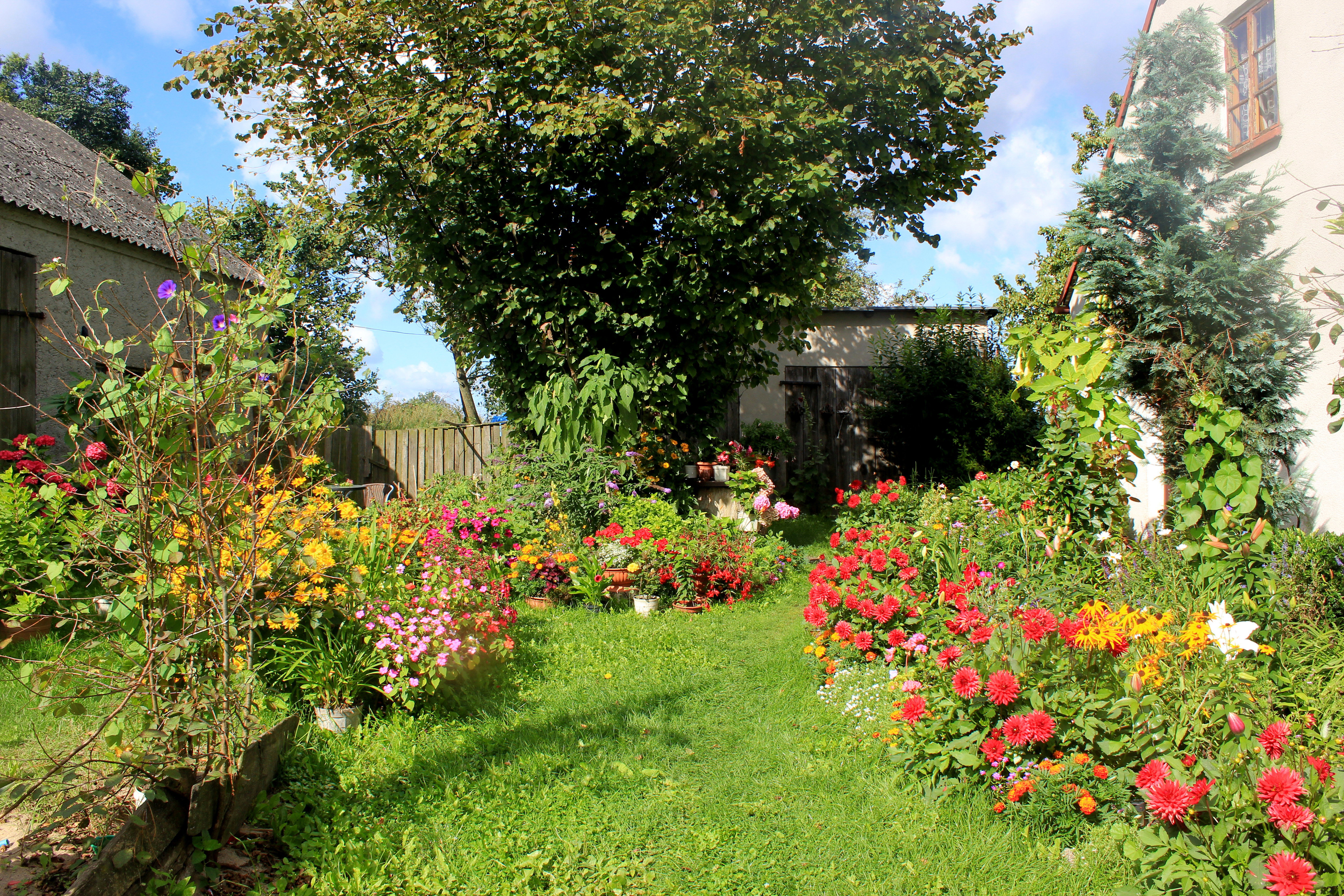 Główny ogród przed wejściem do domu.