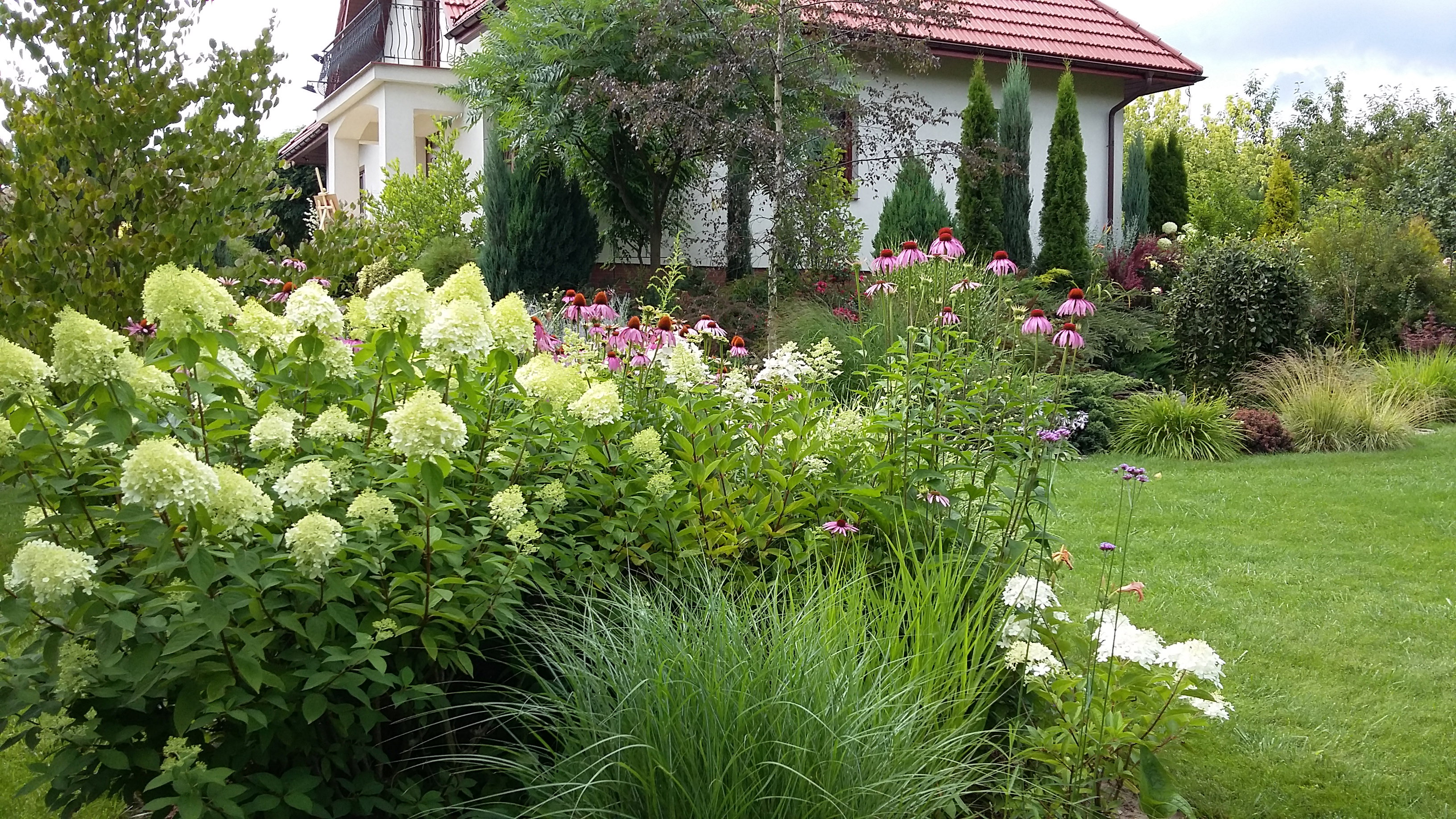 Hortensje, jeżówki i trawy wprowadzają swobodny wakacyjny nastrój.