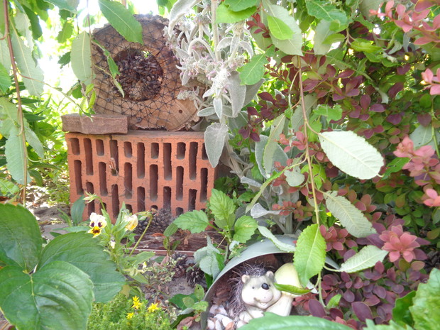 Hotel  dla owadów ma już pierwszych lokatorów.