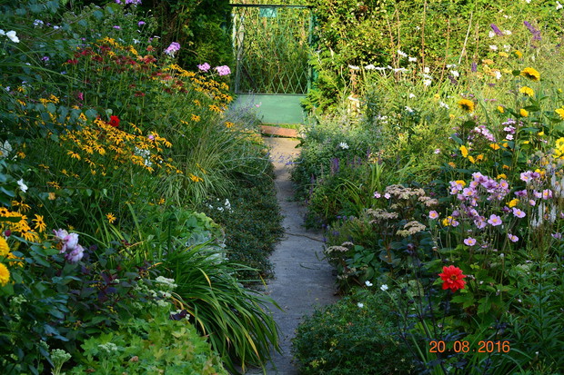 ..i późnym latem..