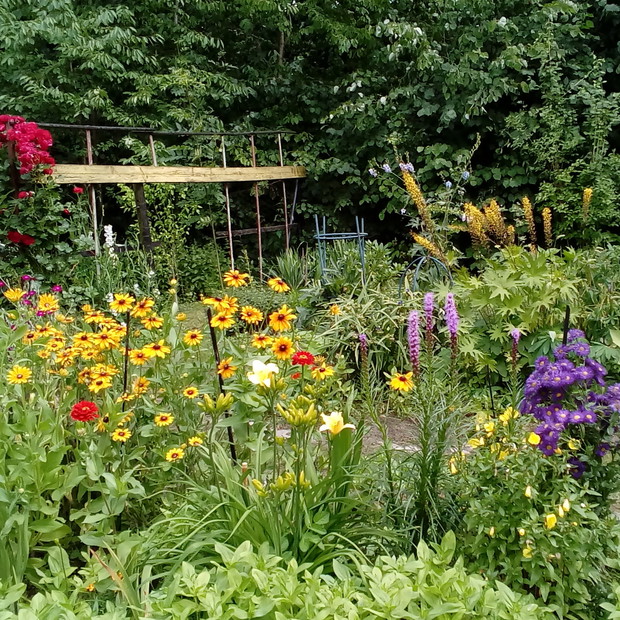 Kolorowa rabata pod leśną ścianą