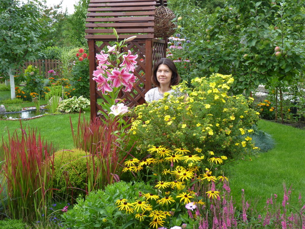 Kolorowa rabata przy pergoli.