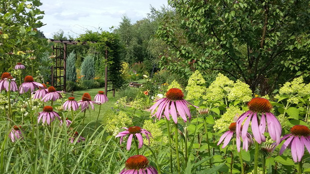 Kolory późnego lata.