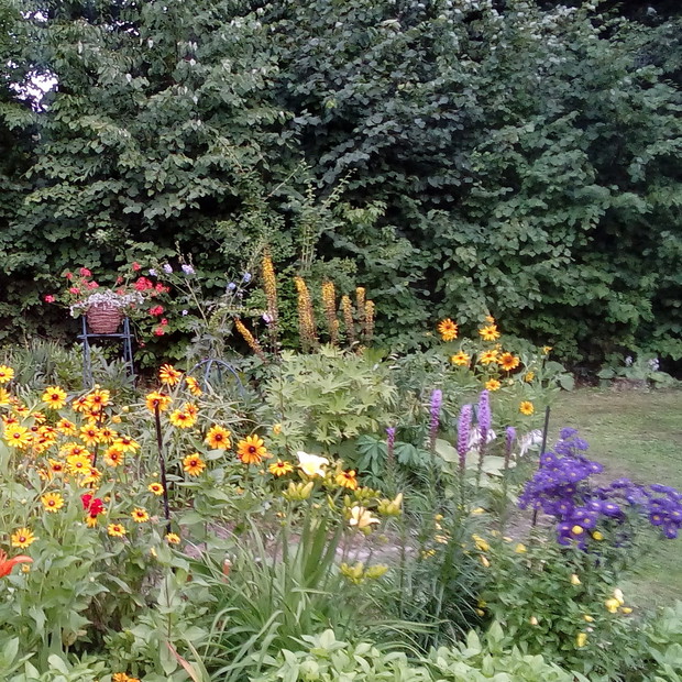 Kwiaty i leśne ptaki stanowią o urodzie tego miejsca