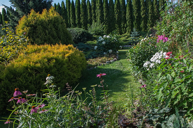 Kwiaty na stronie frontowej