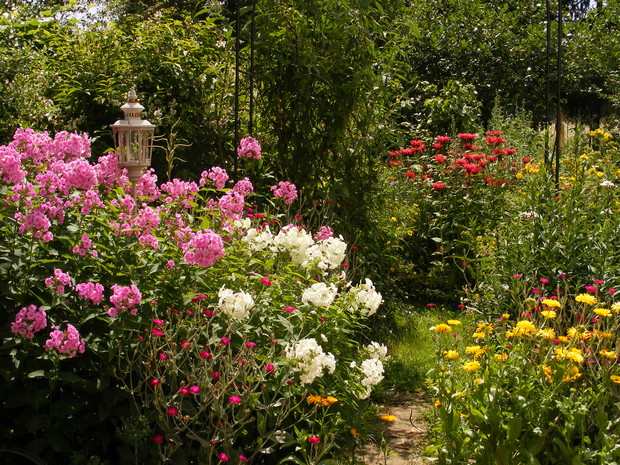 Kwiaty póznego lata.