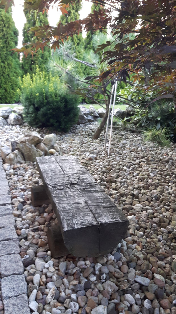 Ławeczka z tyłu klonu palmowego- dzieło męża oraz cis.