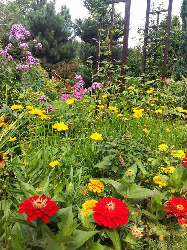 Letnia rabata z nachyłkami