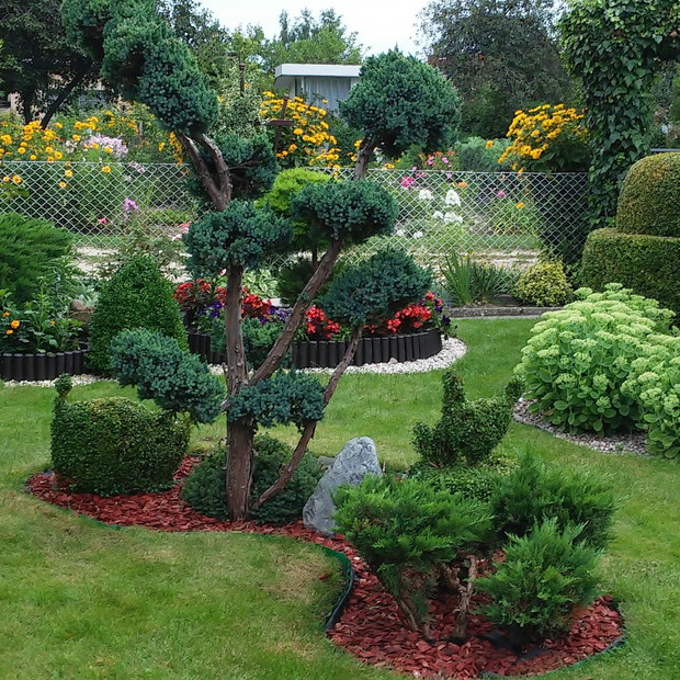 lubię różnego rodzaju krzewy, tuje, iglaki i tworzyć z nich różne kształty, w moim ogrodzie każdy ma swoje miejsce