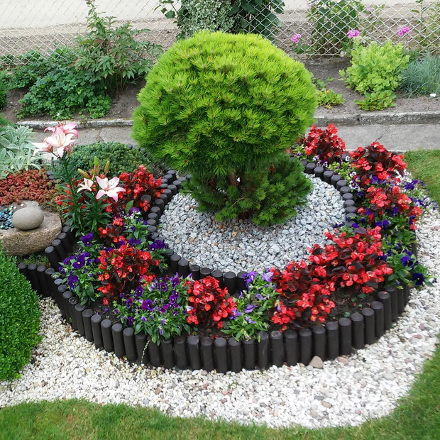 lubię uporządkowane rabaty, w których kwiaty mają właściwą oprawę