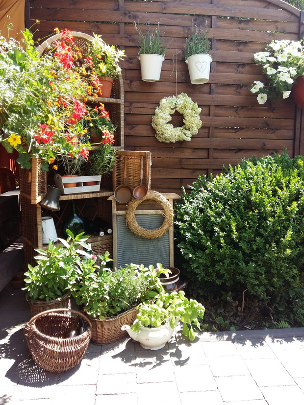 Mini ogródek ziołowy w starej witrynie. Stoi blisko ogrodowej kuchni,zioła na bieżąco wykorzystujemy do potraw i napojów