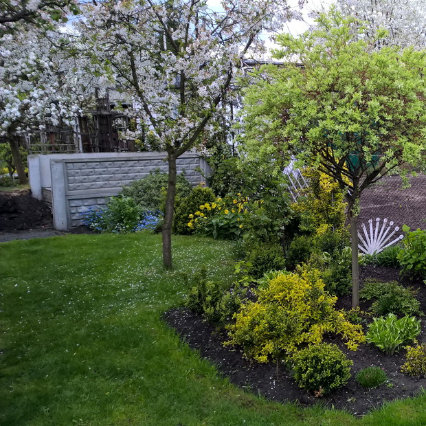 na działce dbam o ekologię, więc jest miejsce na duży kompostownik