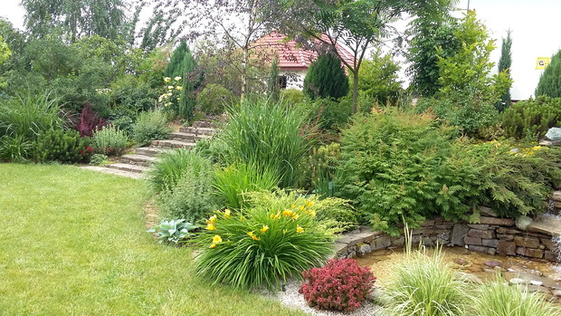 Na rabatce żwirowej przy oczku wodnym liliowiec „Stella d’oro” i berberys „Admiration”.