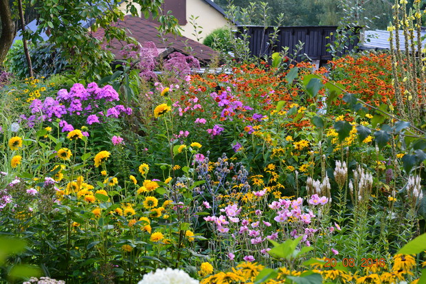 o każdej porze lata inne
