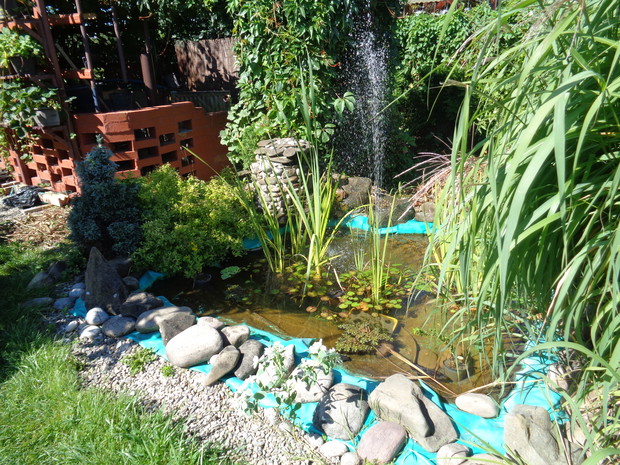 Oczko wodne z fontanną i kaskadą.