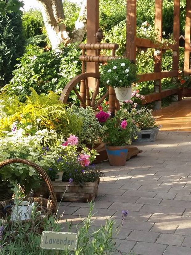 Odnowiony i przystrojony kwiatami kołowrotek