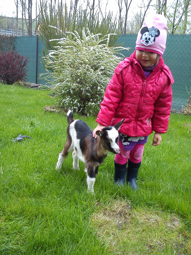 Ogrodniczka z ekologiczną kosiarką :-)