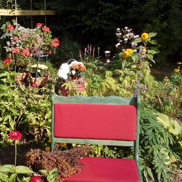 Ogrodowo leśna ławeczka zachęca do odpoczynku