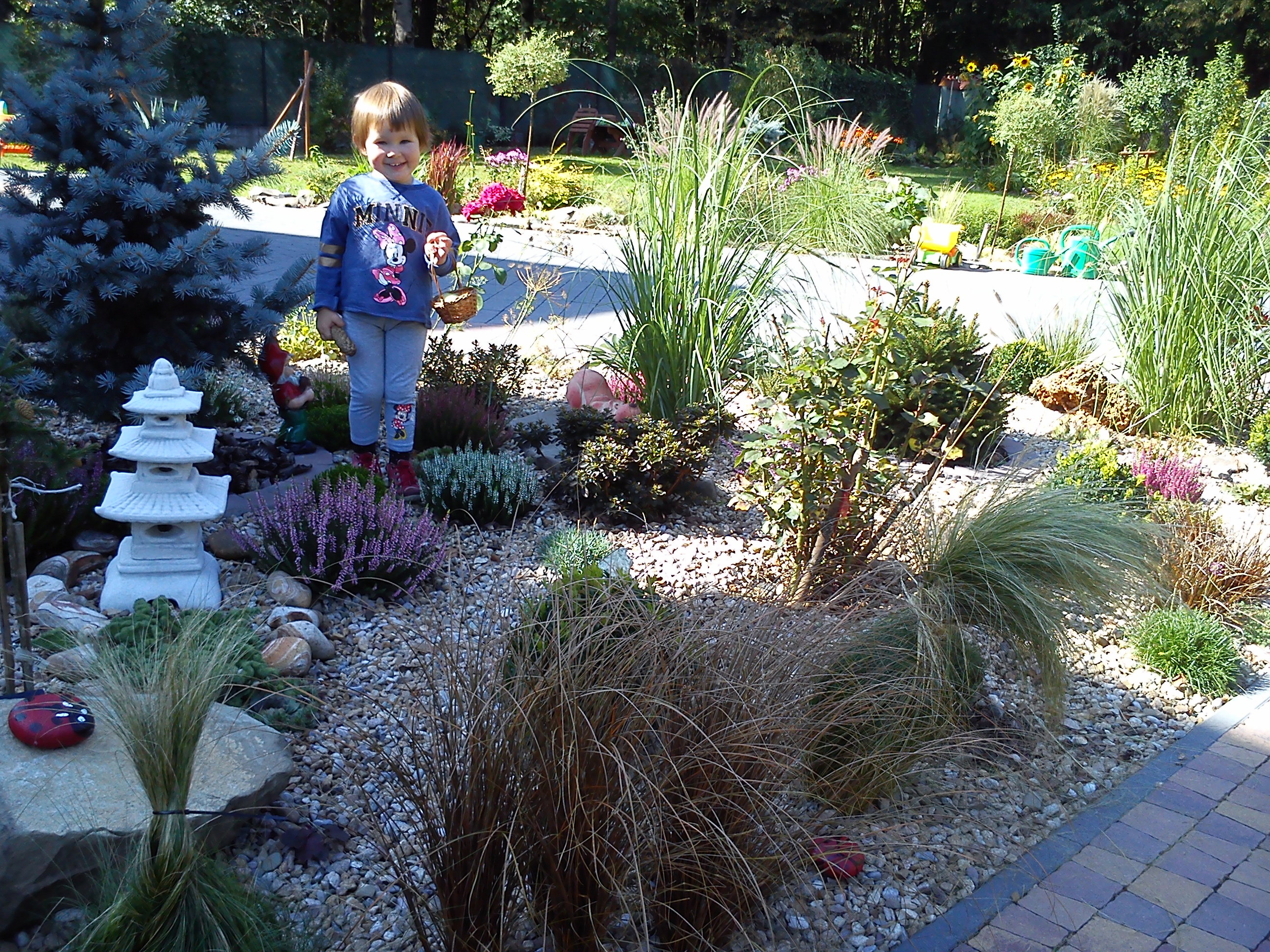 Późne lato w  moim ogrodzie. 