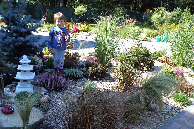 Późne lato w moim ogrodzie.