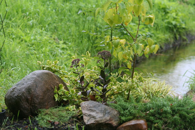 Przepust nad rzeczką z drugim gniazdem padalców  