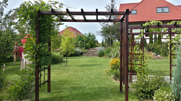 Przy bramce „opiekunka” ogrodu Flora. W głębi przy schodach – kępy perowskii „Little spire”. 