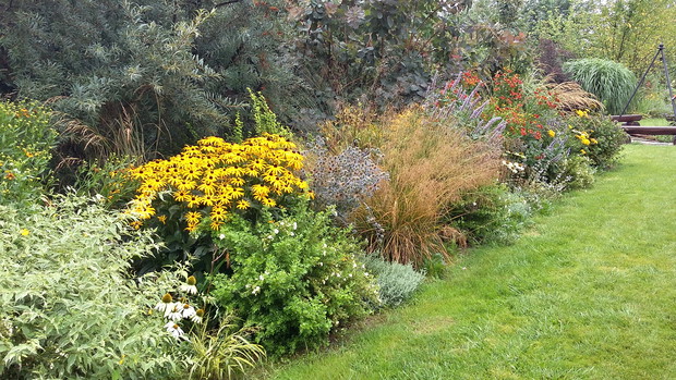 Rabata bylinowa w sierpniu.