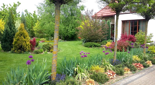 Rabata” powitalna” przy  ścieżce prowadzącej od furtki.