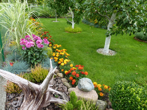 Rabata przy drzewkach owocowych, w pełni lata. 