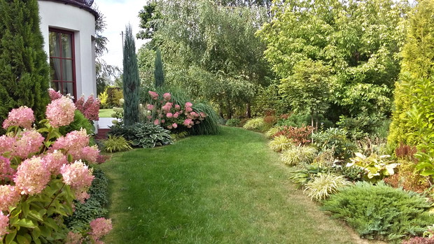 Rabata z hortensjami późnym latem.