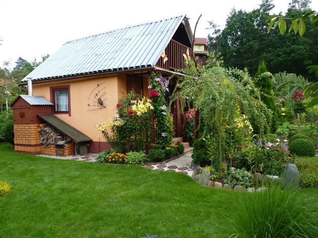 Rabata z jagodą goji.