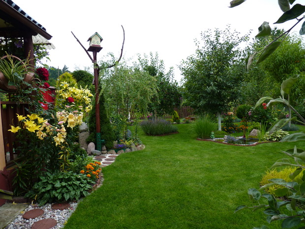 Rabata z liliami i różą przy altanie.