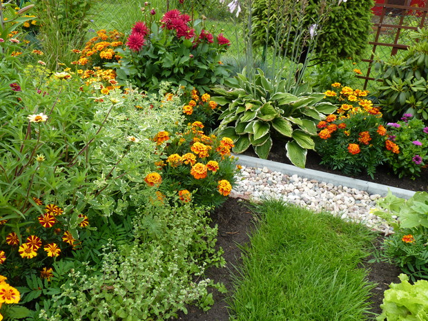 Rabata z miętą i majerankiem.