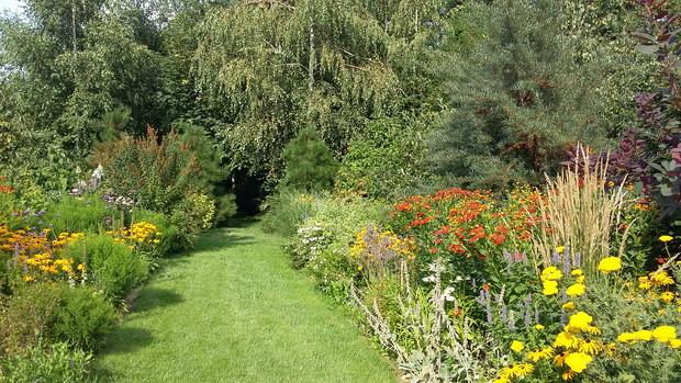 Rabaty bylinowe przy ścieżce do zagajnika.