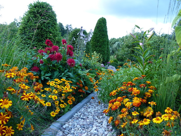 Rabaty przy żwirowej ścieżce w pełni lata.