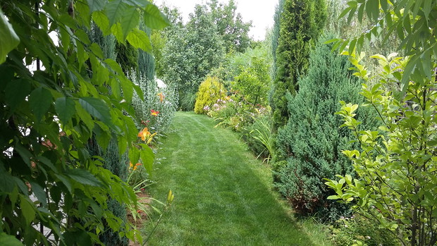 Ścieżka za domem nad kaskadą.