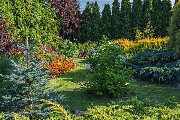 Sierpniowe kolory kwiatów