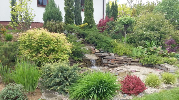 Skarpa przy kaskadzie wiosną.