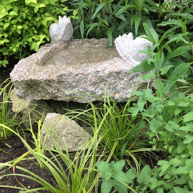 Spragnione ptaszki, owady i nasze koty mogą sie napić świeżej wody w jednym z poidełek.