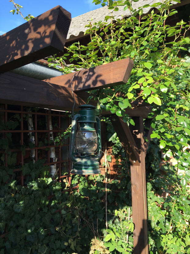 Stare przedmioty otrzymują nowe życie wśród roślin.