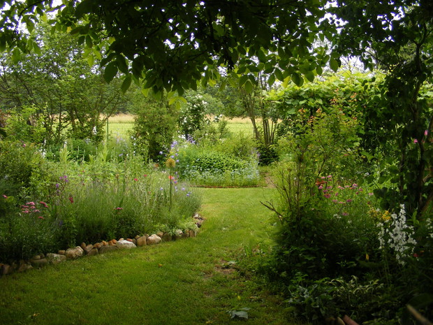 Strasza część ogrodu w tle rabata ziołowa